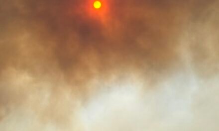 When Wildfire Strikes, Is Everyone Receiving the Message?